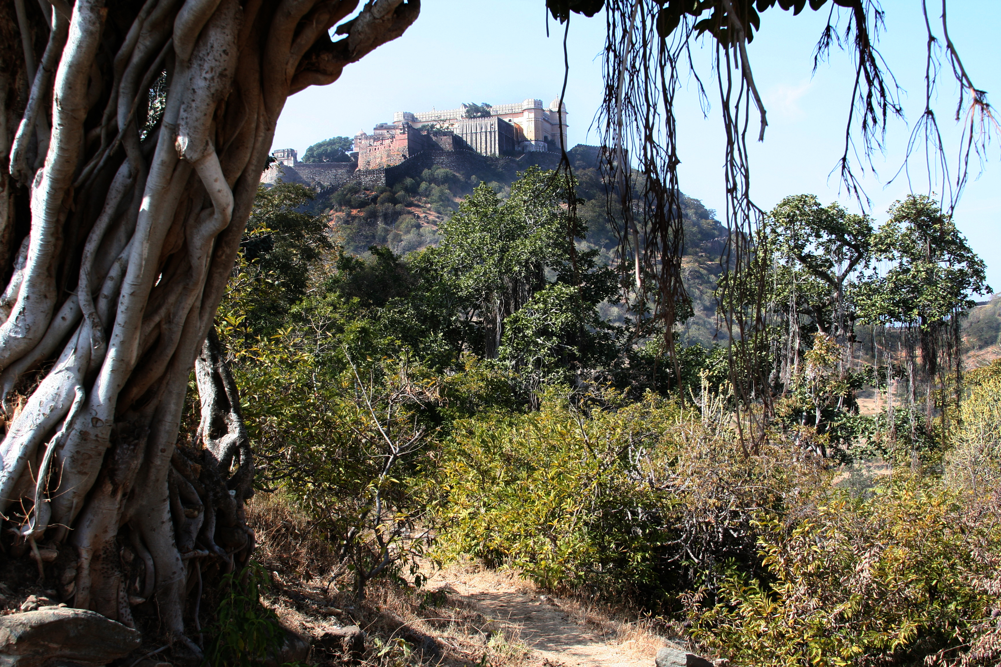 Kumbhalgarh Fort Gardenvisit.com