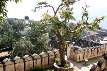 Kumbhalgarhfort1