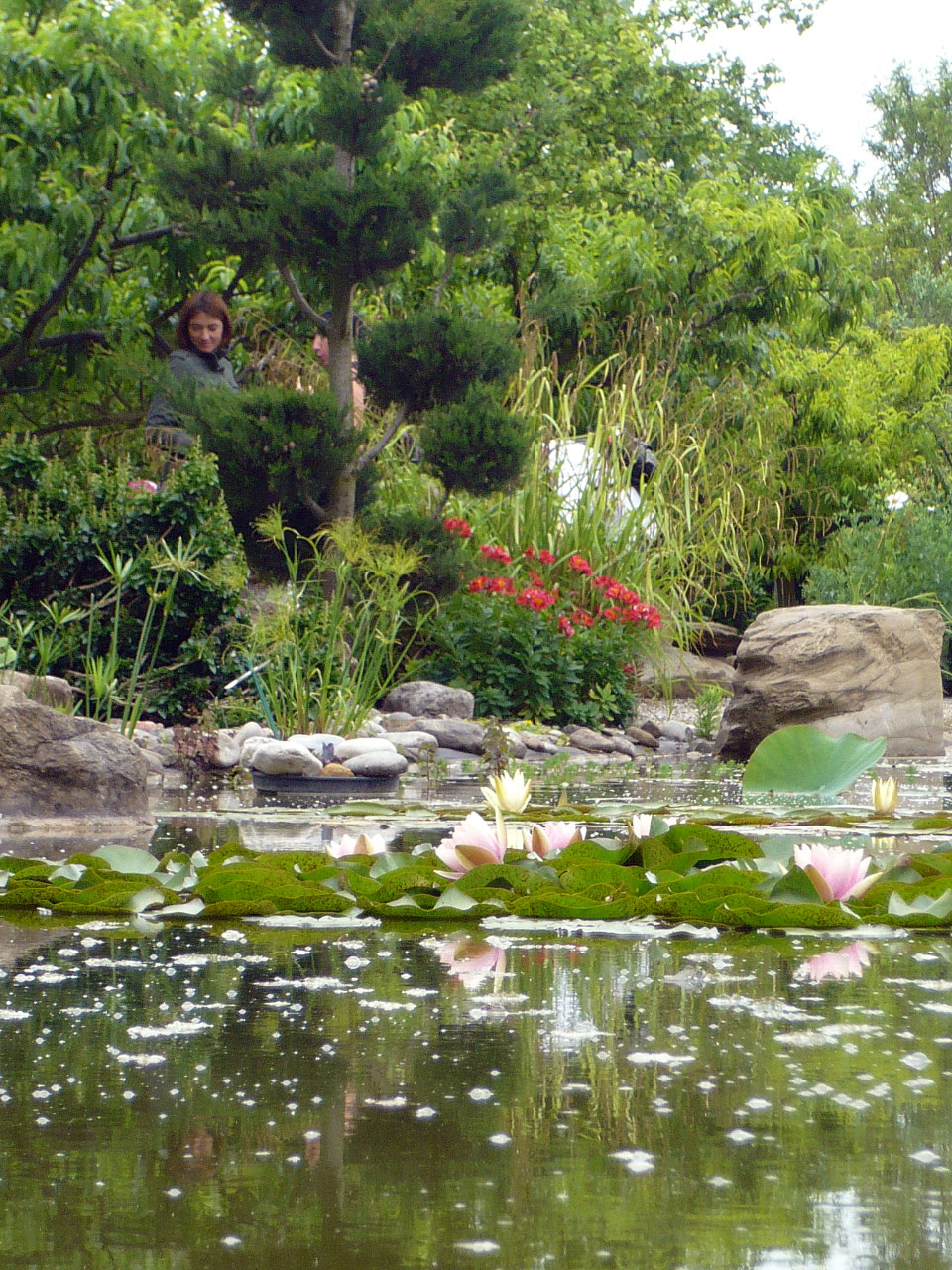 La Bouichère, Pond