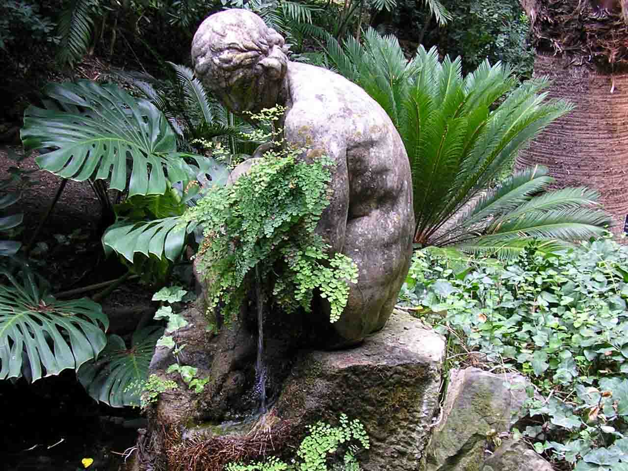 La Concepcion Garden Francisco P