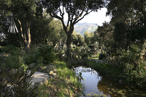 La Mortella