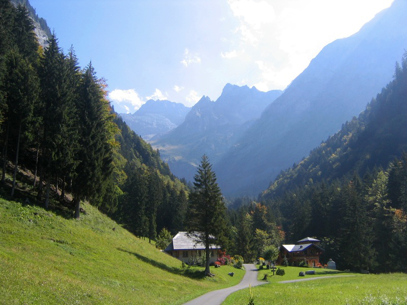 La Thomasia Alpine Garden Laura B