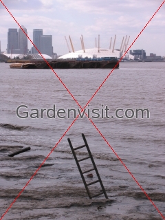 Ladder to Success
