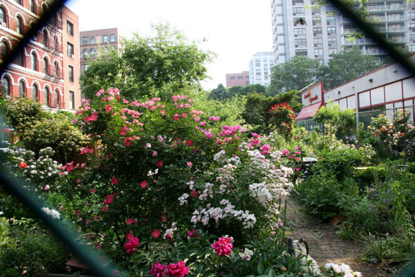 LaGuardia Corner Gardens, New York City