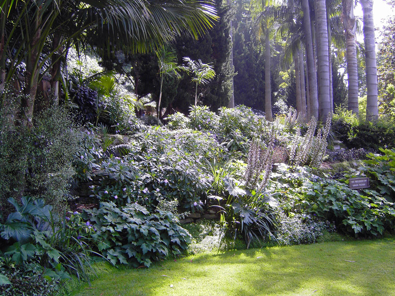 Self-Realization Fellowship Lake Shrine, Spring 2007