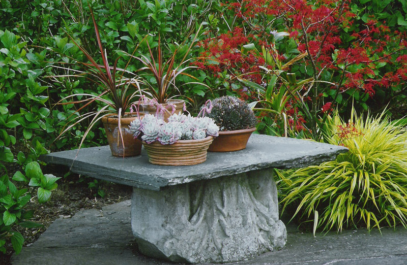 Lakemount Garden, Ireland
