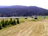 Farmland