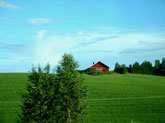 Rural real estate