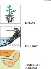 Landscape ecology