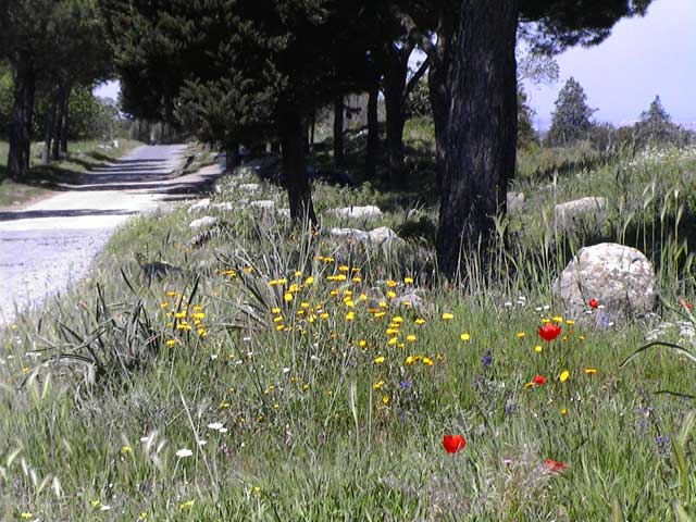 Landscape planning appian way1