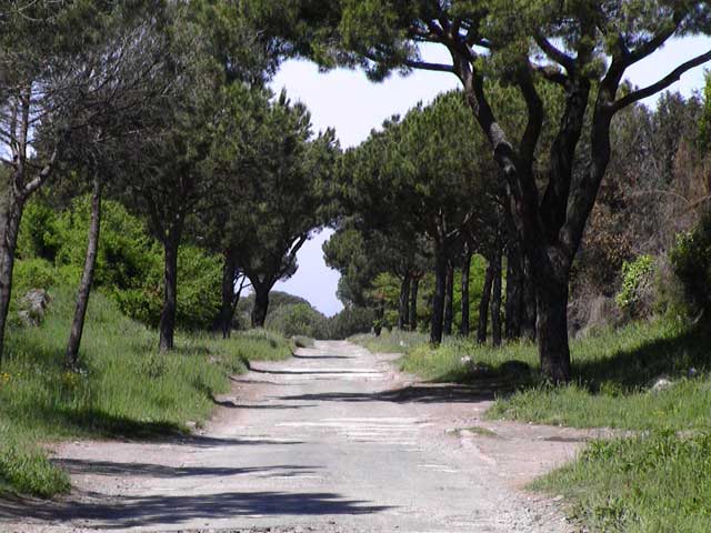 Landscape planning appian way2