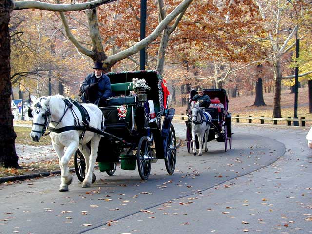 Landscape planning central park carriage