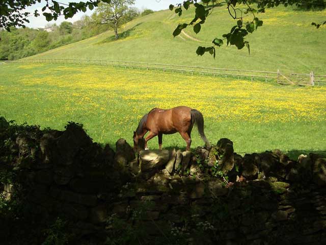 Landscape planning cotswolds