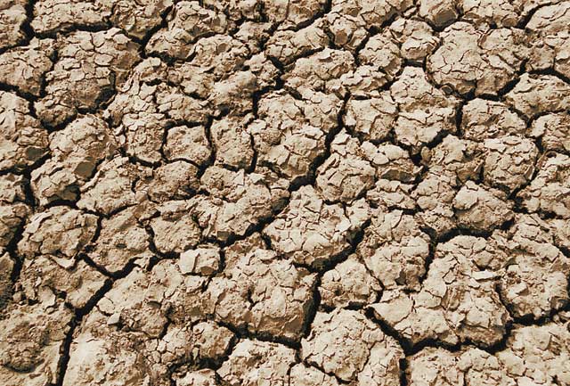 Landscape planning drought
