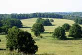 Landscape planning estate park