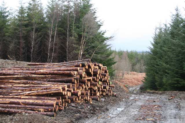 Landscape planning felling