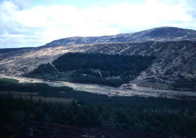 Landscape planning forest block