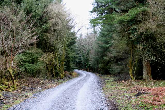 Landscape planning forest road