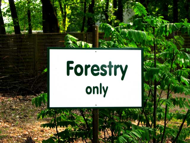 Landscape planning forestry only