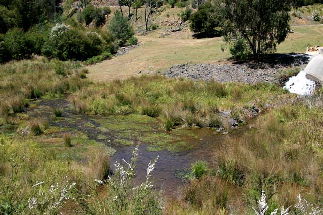 Landscape planning gathering grounds