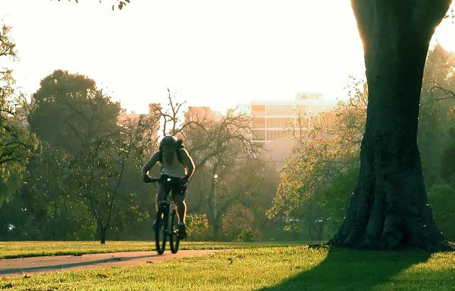 Landscape planning good bike path