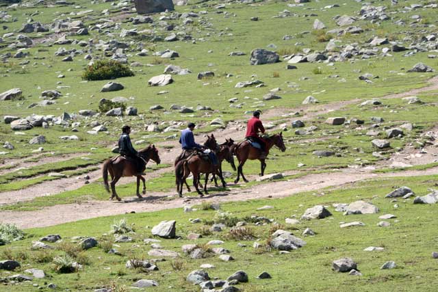 Landscape planning horse trail
