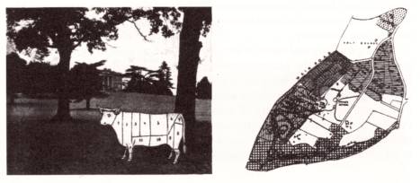 Landscape planning image034