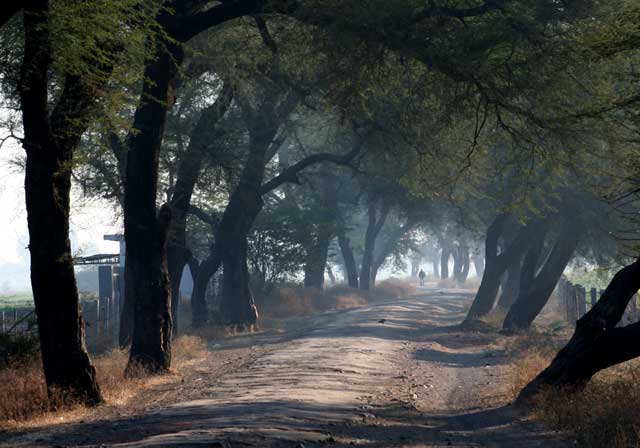 Landscape planning indian road1