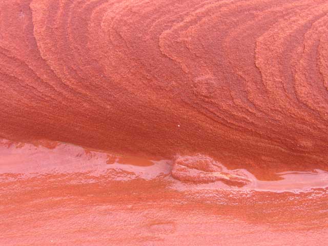 Landscape planning landscape anatomy