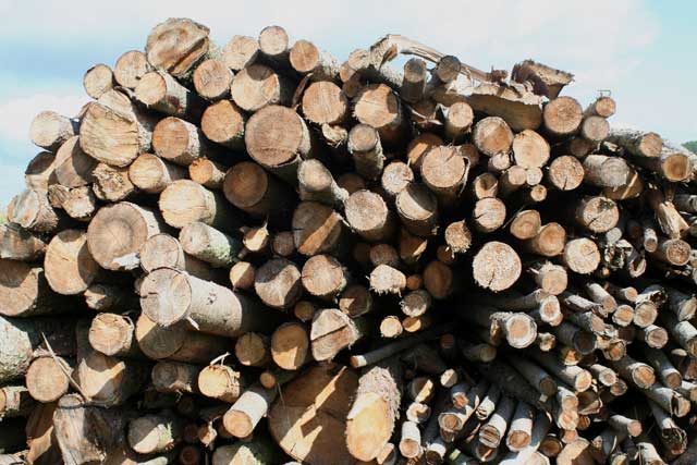 Landscape planning logging