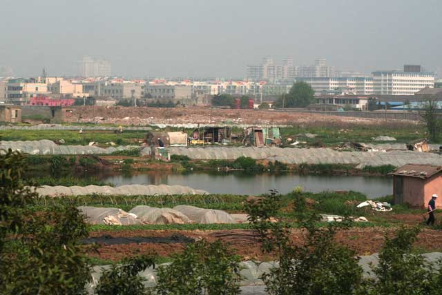 Landscape planning low quality food
