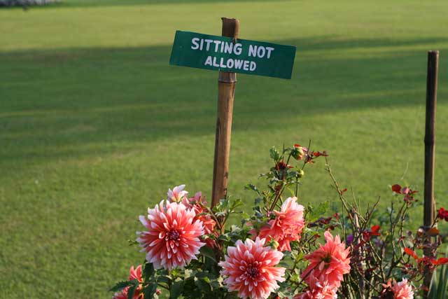 Landscape planning notice no sitting