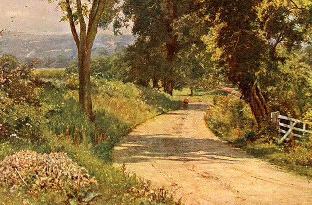 Landscape planning old road