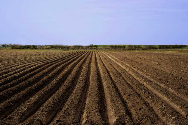 Landscape planning ploughed field