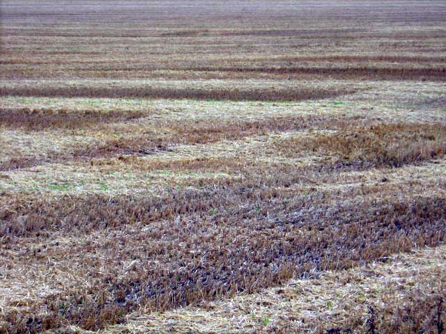 Landscape planning prarie