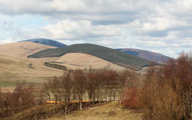 Landscape planning reforestation