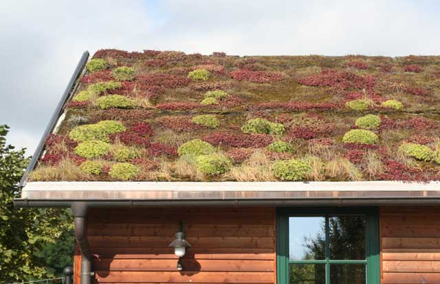Landscape planning vegetated roof1
