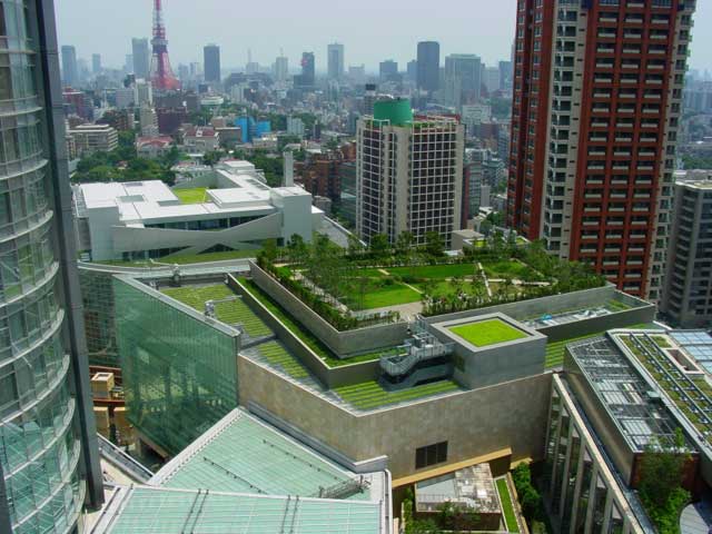 Landscape planning vegetated roof3
