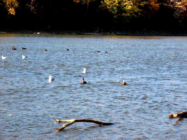 Landscape planning water2