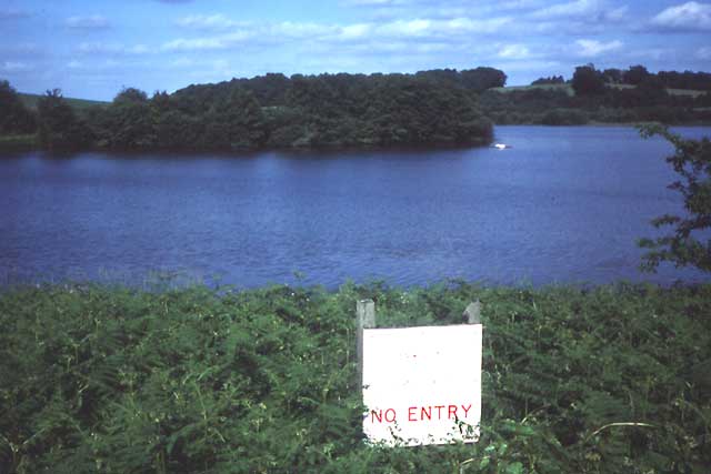 Landscape planning weir wood reservoir