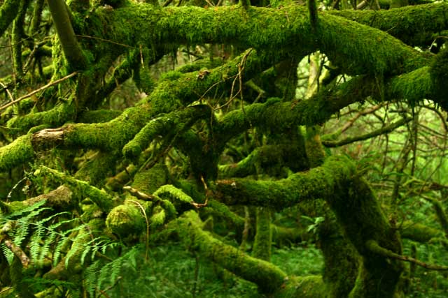 Landscape planning wildlife habitat2