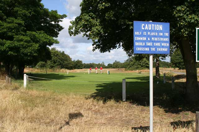 Landscape planning wimbledon common