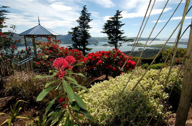 Larnach Castle Garden, Dunedin
