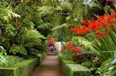 Larnach Castle Garden, New Zealand