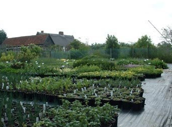 Laurel Farm Herbs