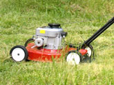Lawn mower with rotary blades
