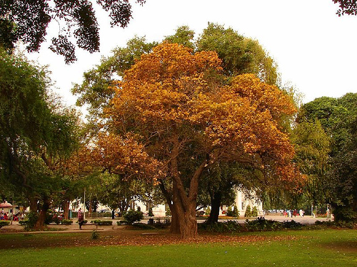 Lawrence Gardens