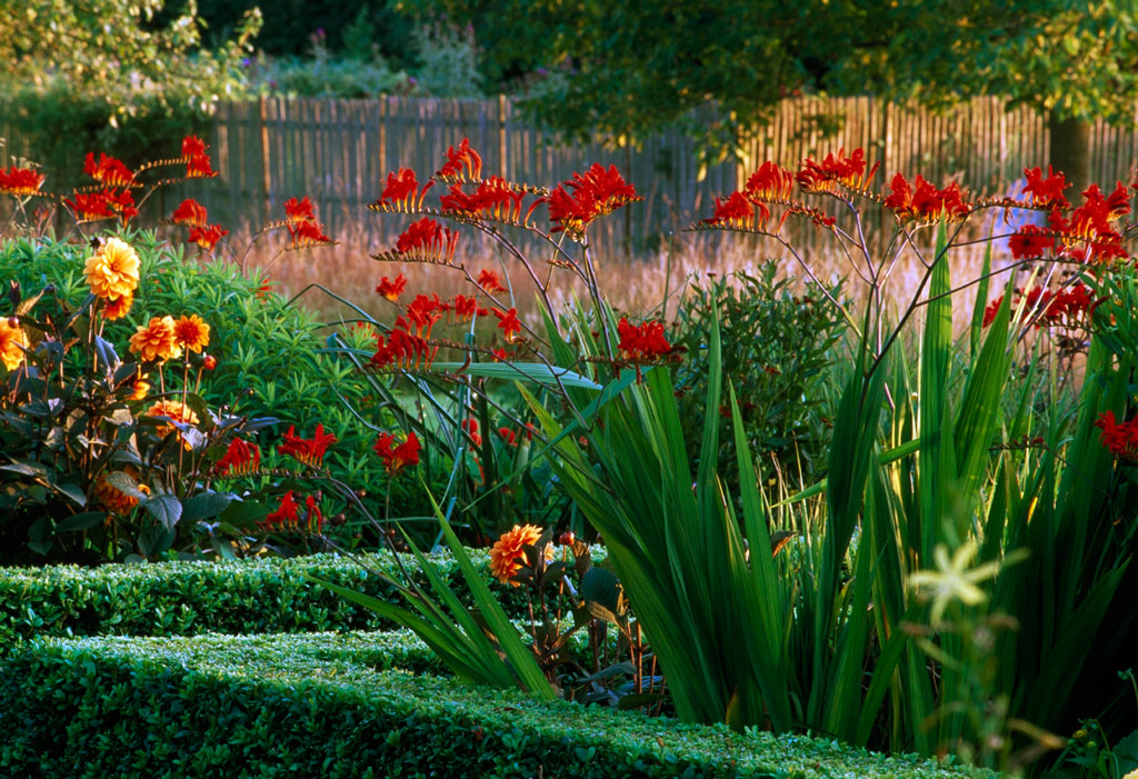 Le Jardin Plume, France