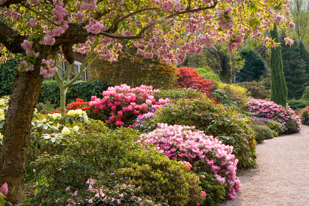 Lea Gardens Garry Platt