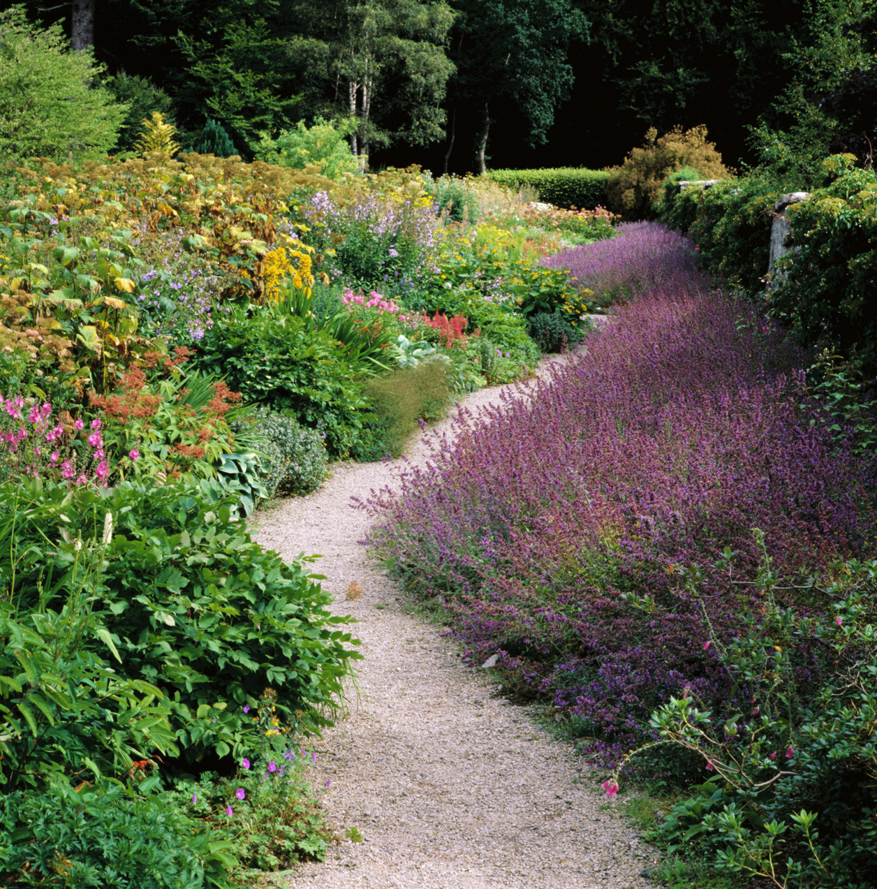 Leith Hall Garden NTS